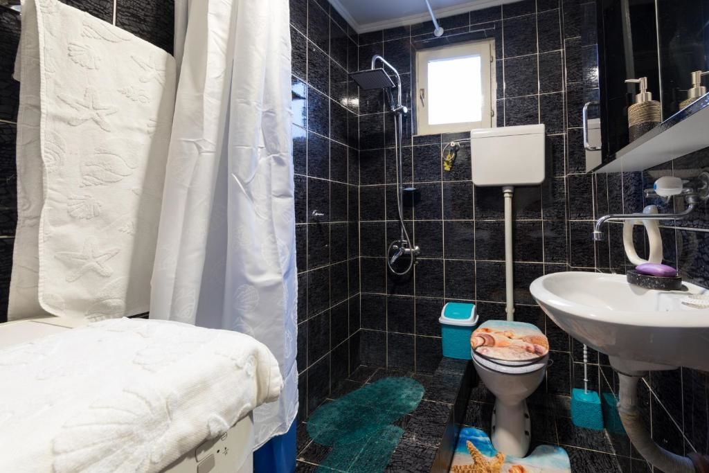 Апартаменты Flowers Apartment Подгорица