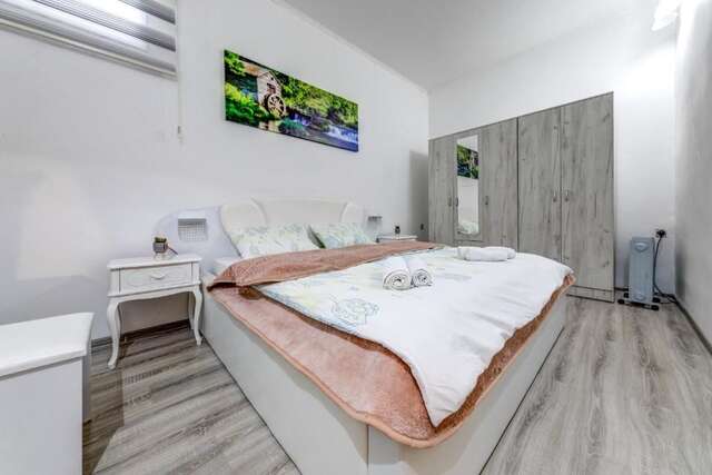 Апартаменты Flowers Apartment Подгорица-12